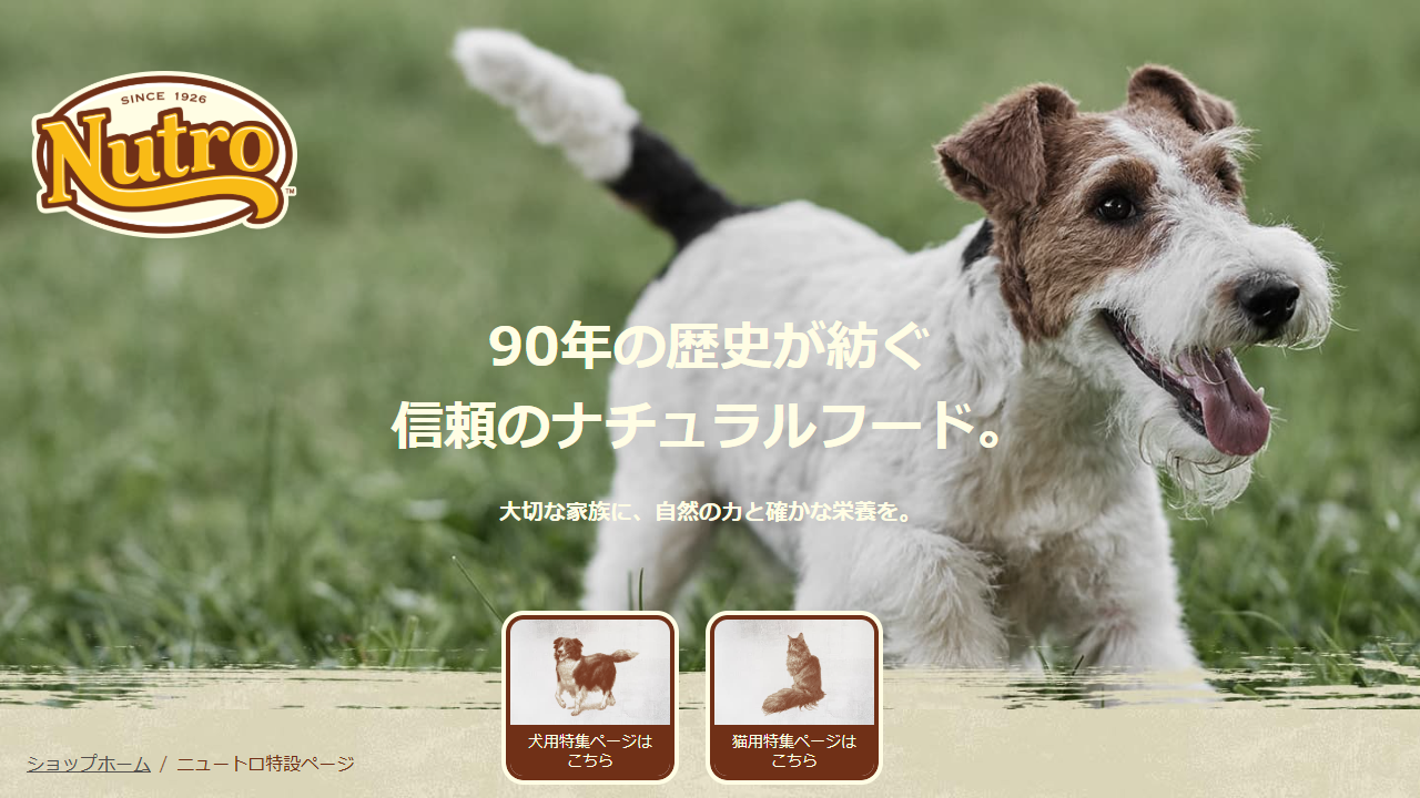 有限会社ロバの耳｜ペット用品EC・トリミングサロンサイト