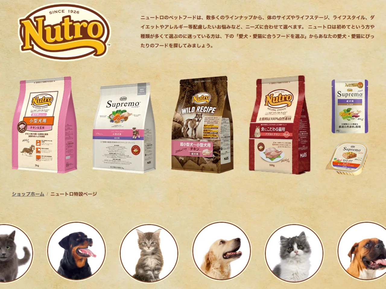 大阪市阿倍野区にあるペット用品のネット販売・トリミングサロン運営の会社